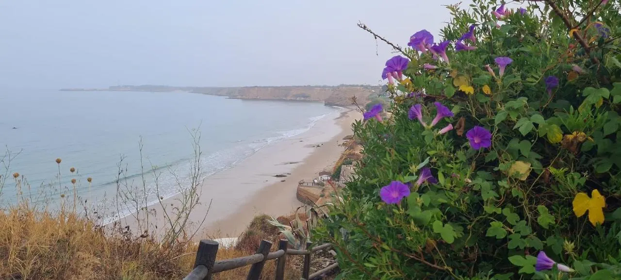 Casa Duplex En Conil A 300 M De La Playa. Villa Conil De La Frontera Holiday home